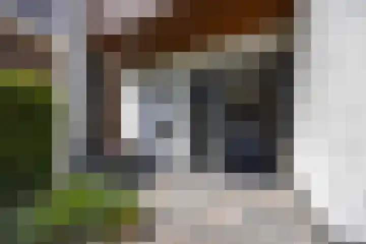 Doelenstraat 33 A Hilvarenbeek thumbnail 5