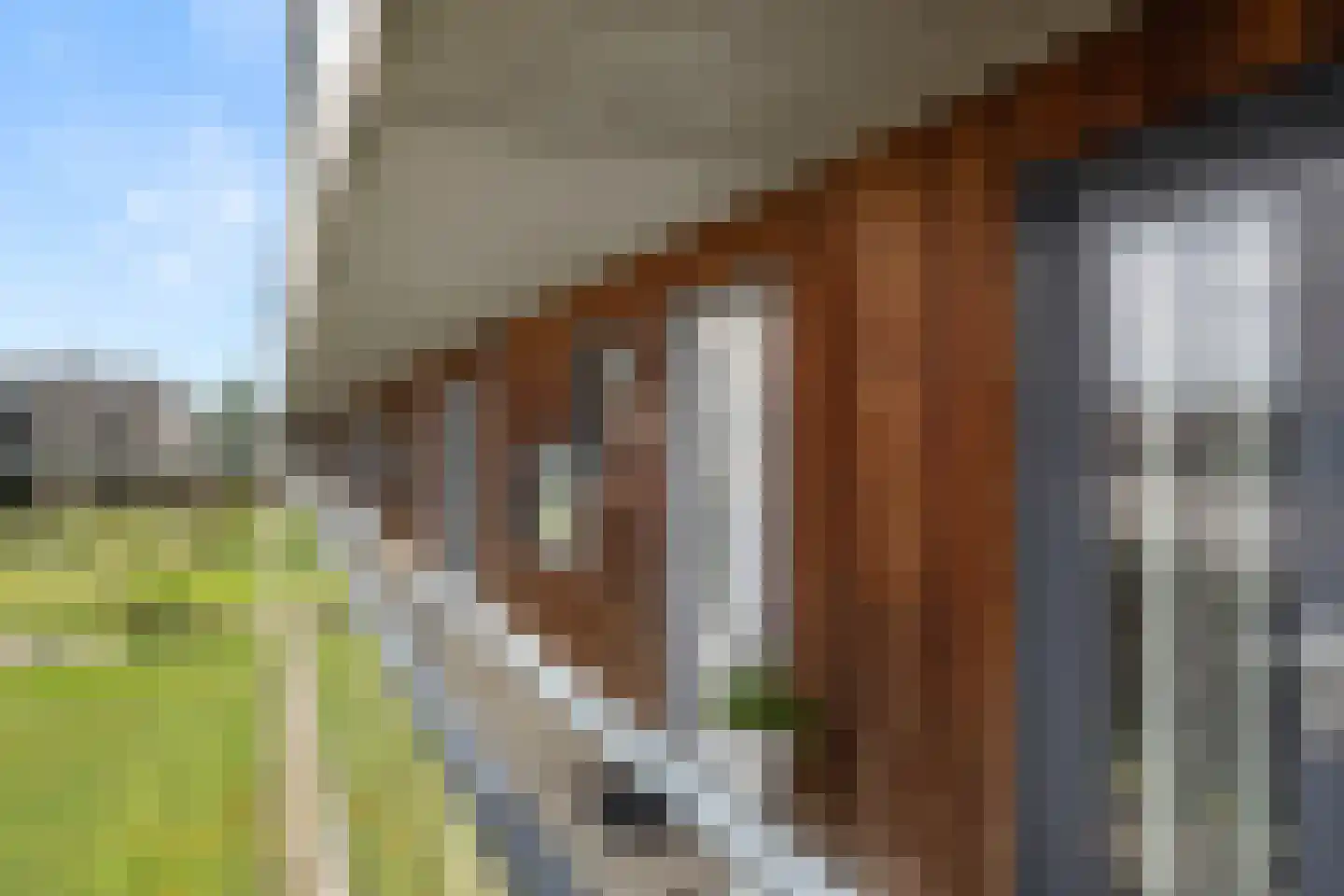 Doelenstraat 33 Ede thumbnail 18