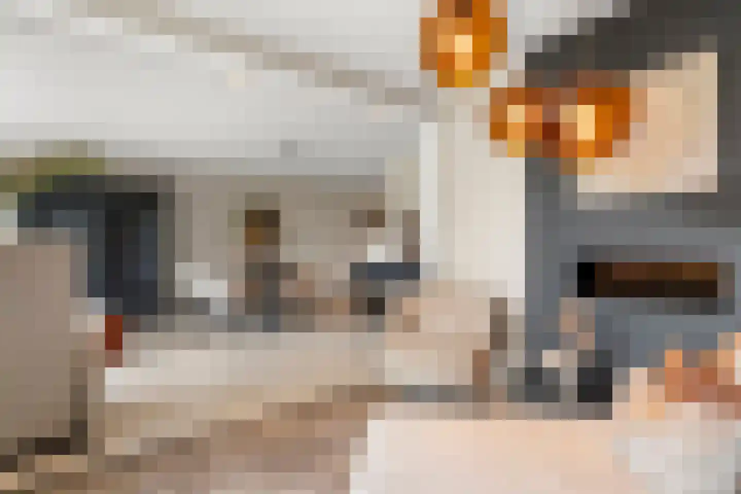 Doelenstraat 33 Ede thumbnail 34