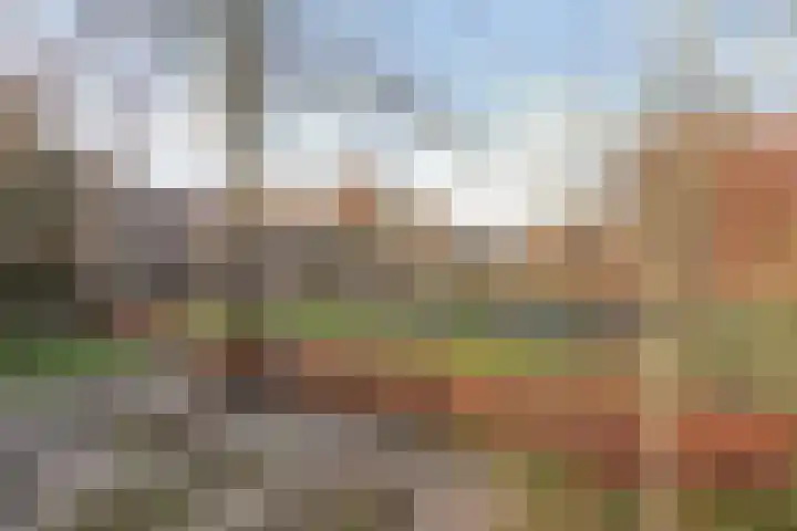 Doelenstraat 35 Harderwijk thumbnail 29