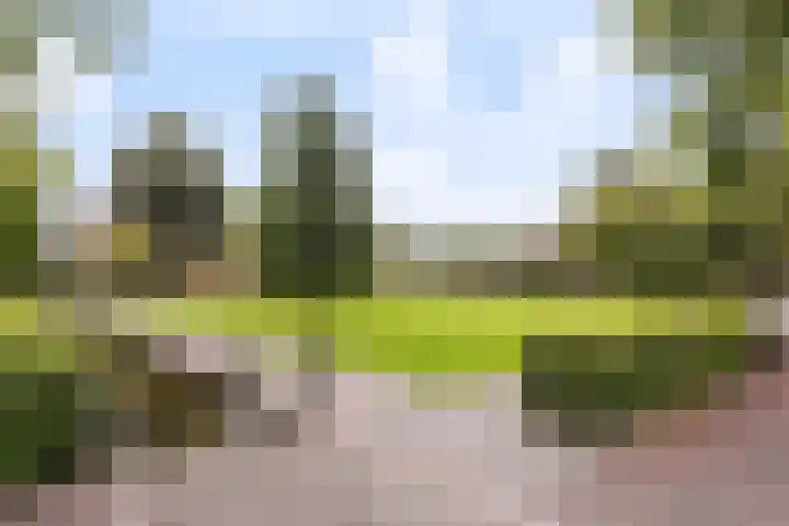 Doelenstraat 35 Harderwijk thumbnail 31