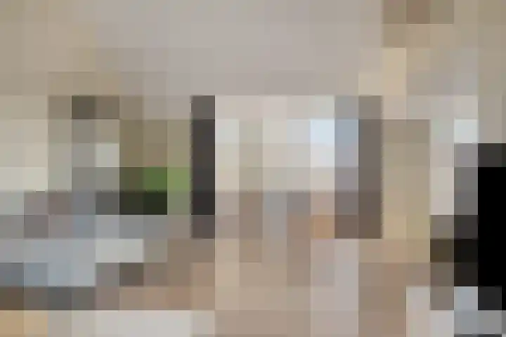 Doelenstraat 35 Harderwijk thumbnail 4