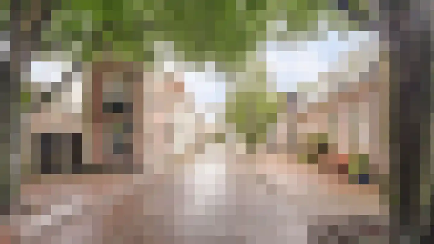 Doelenstraat 39 Almelo thumbnail 22
