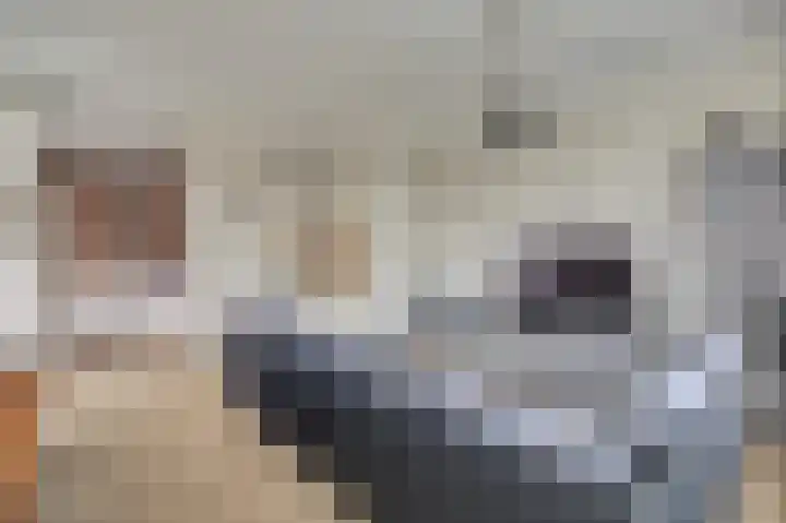 Doelenstraat 4 Brielle thumbnail 9