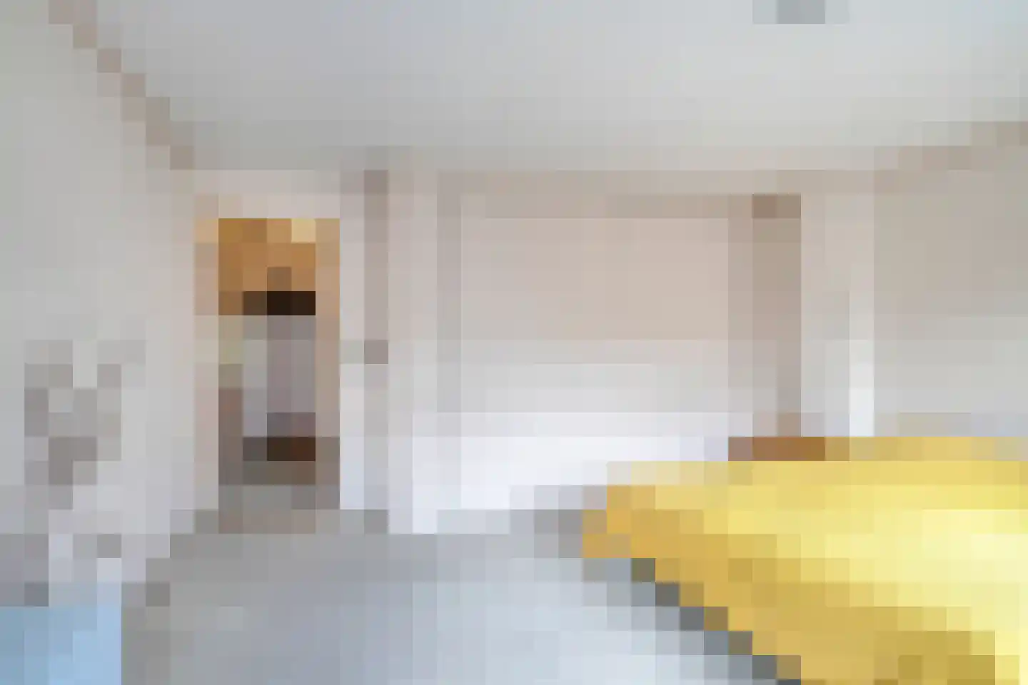 Doelenstraat 41 Hilvarenbeek thumbnail 29
