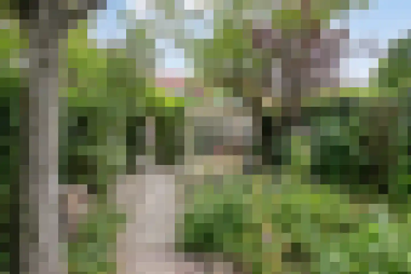 Doelenstraat 41 Hilvarenbeek thumbnail 4