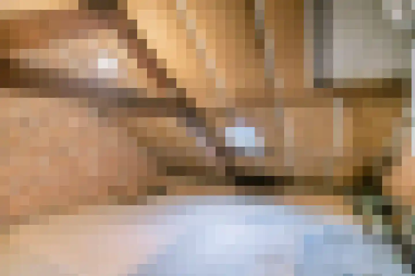 Doelenstraat 41 Hilvarenbeek thumbnail 40