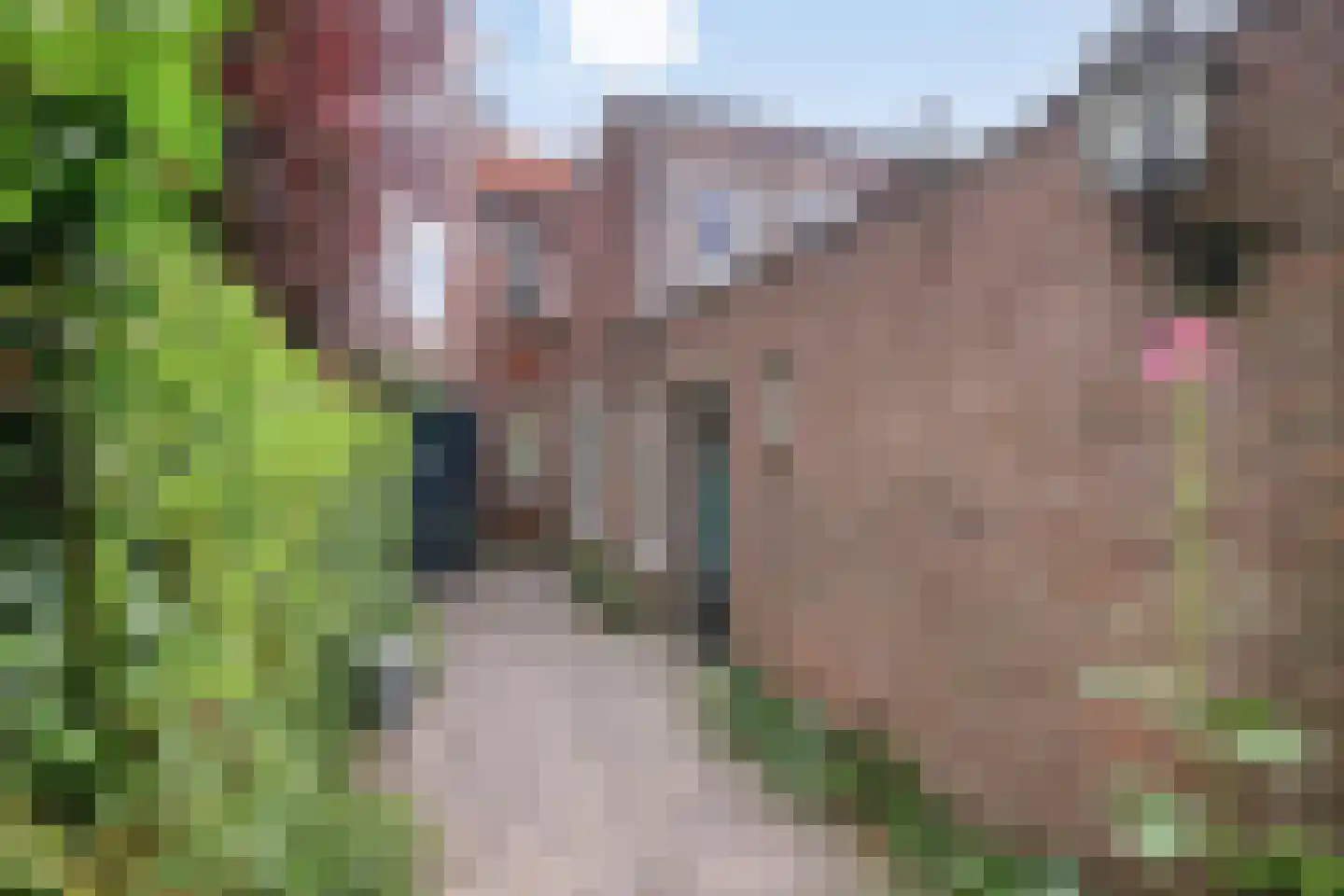 Doelenstraat 41 Hilvarenbeek thumbnail 44