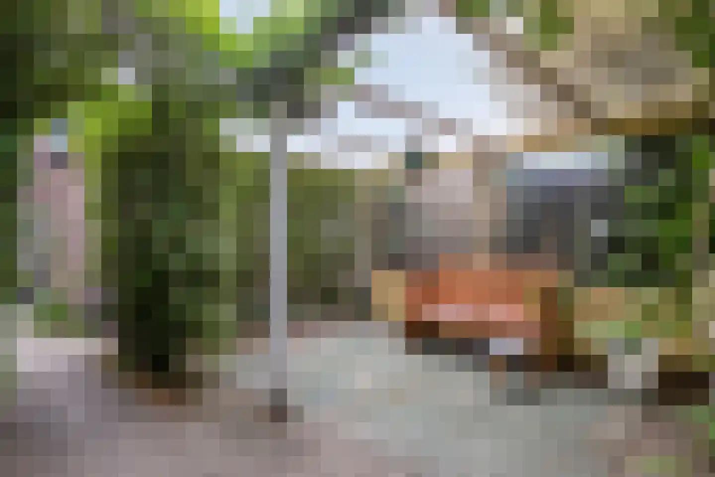 Doelenstraat 41 Hilvarenbeek thumbnail 46