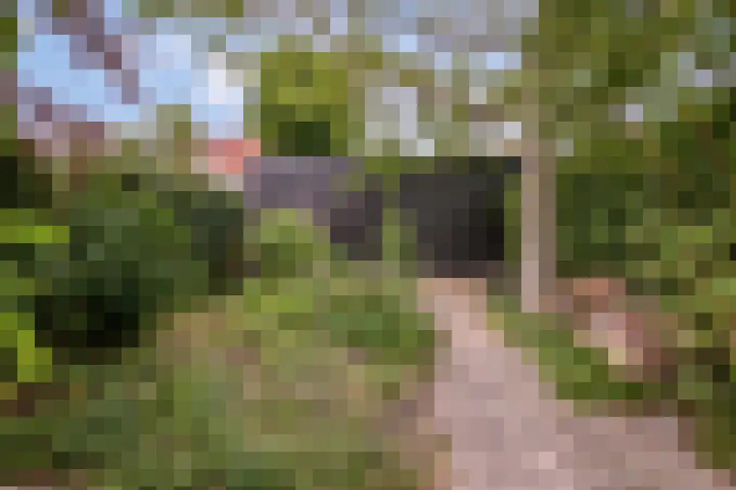 Doelenstraat 41 Hilvarenbeek thumbnail 47