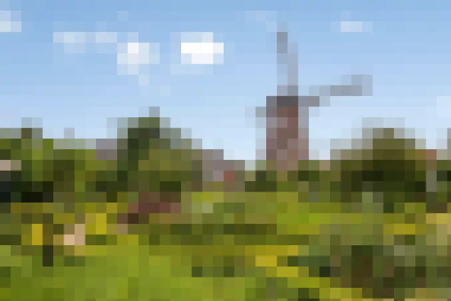 Doelenstraat 41 Hilvarenbeek thumbnail 55