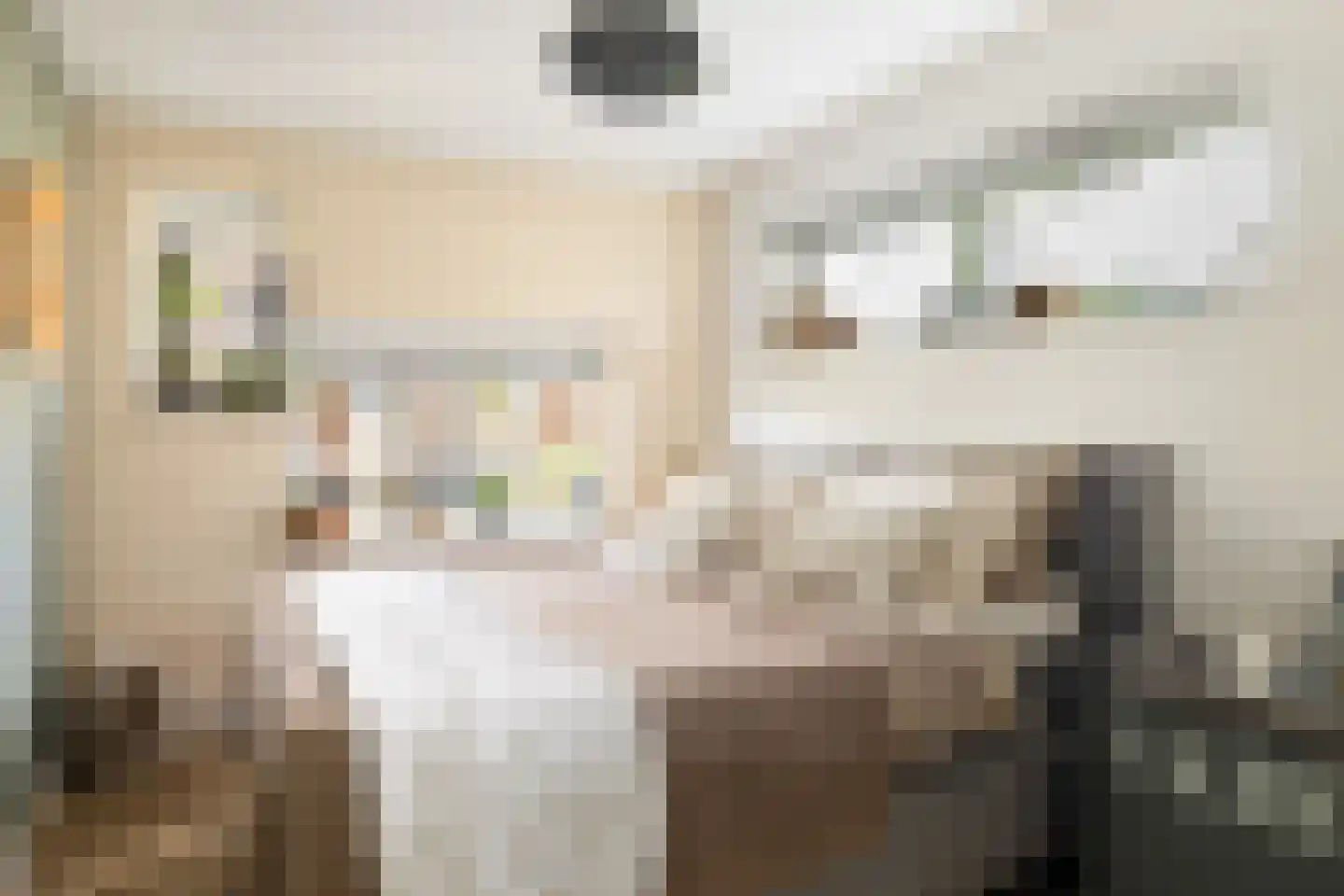 Doelenstraat 5 Ede thumbnail 15