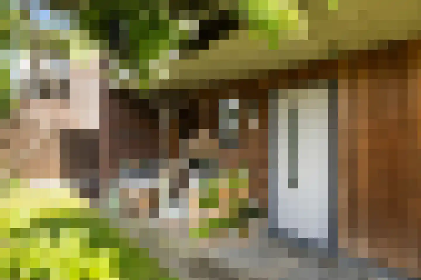 Doelenstraat 5 Ede thumbnail 25