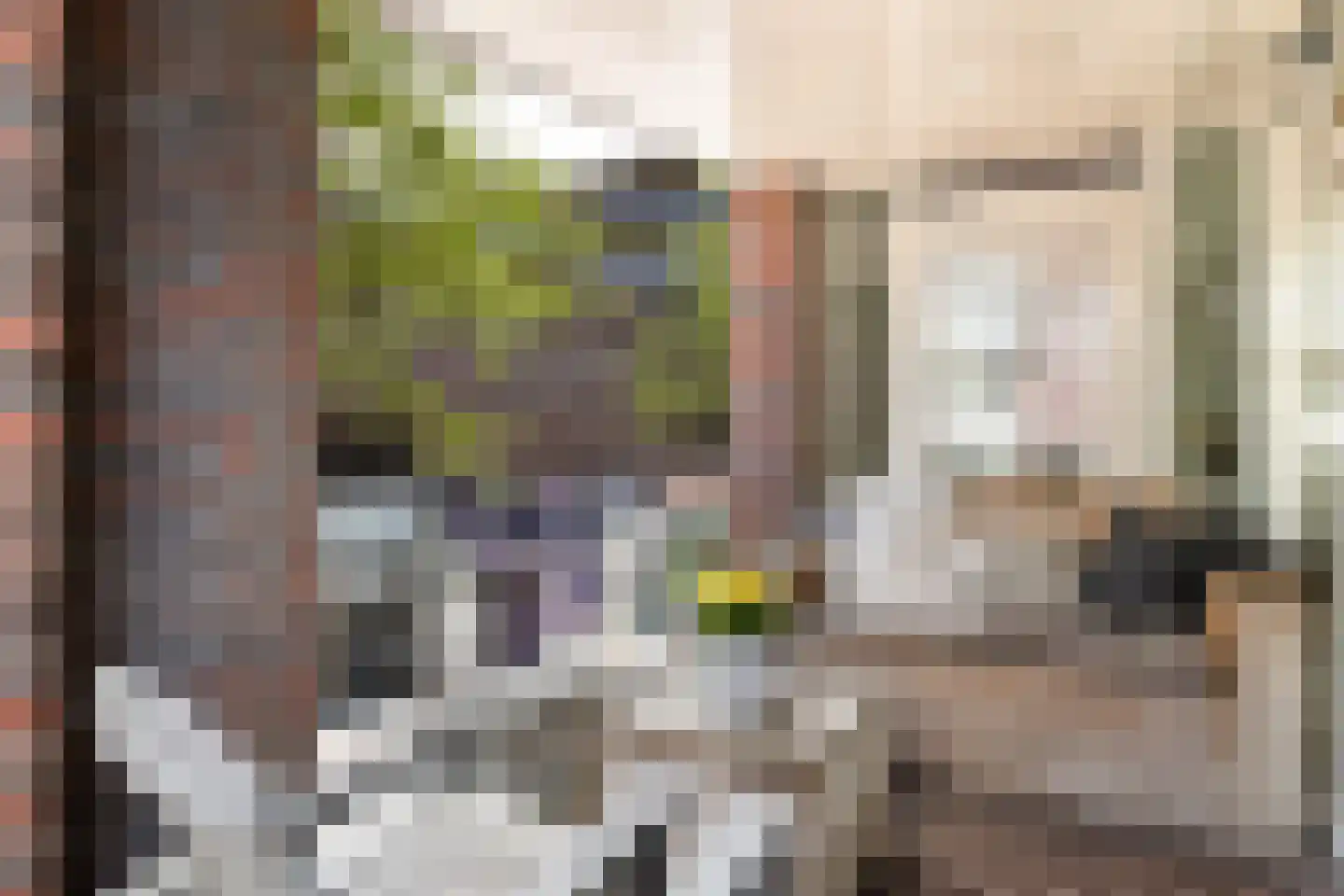 Doelenstraat 5 Ede thumbnail 7