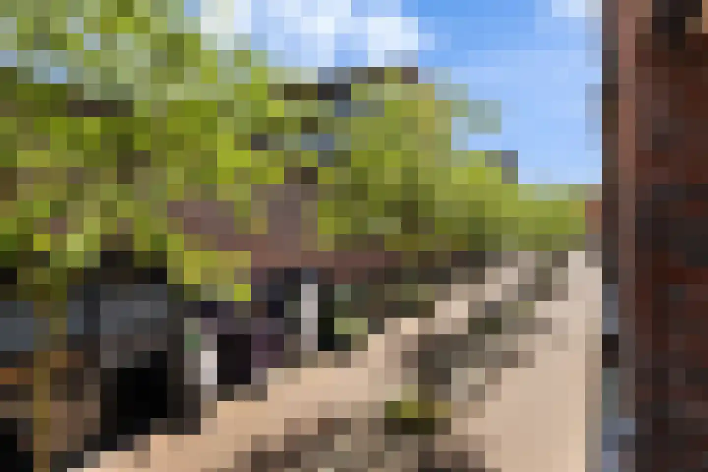 Doelenstraat 5 Ede thumbnail 8