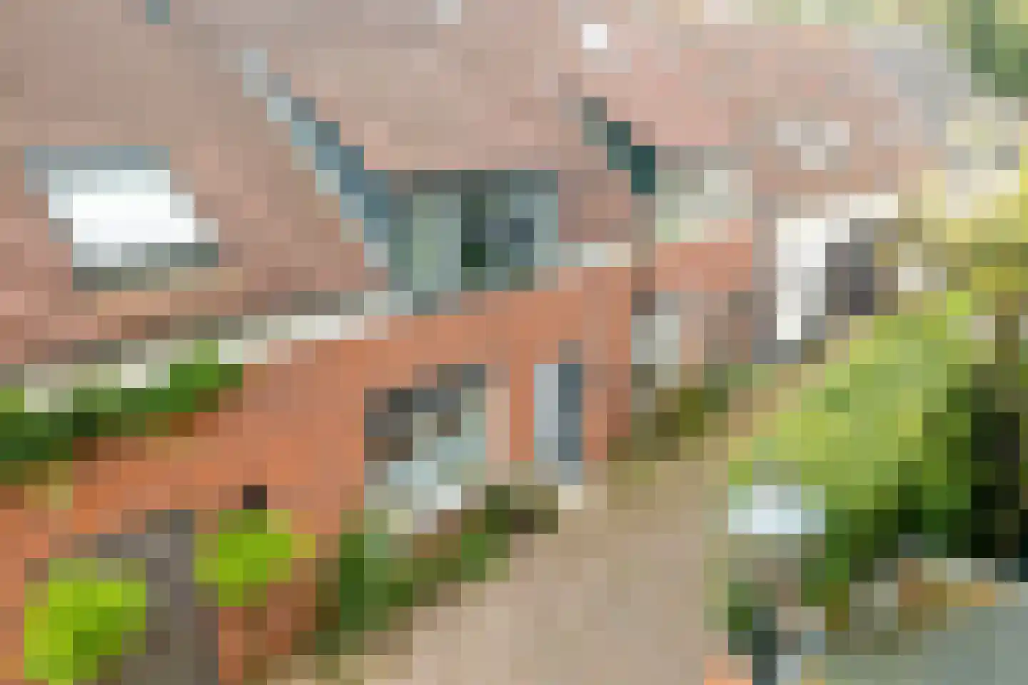 Doelenstraat 6 in Harderwijk