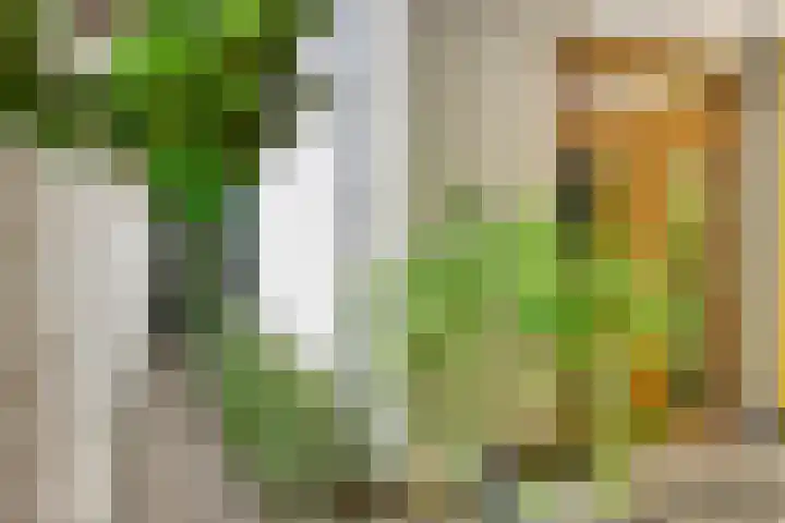 Doelenstraat 6 C Eindhoven thumbnail 38