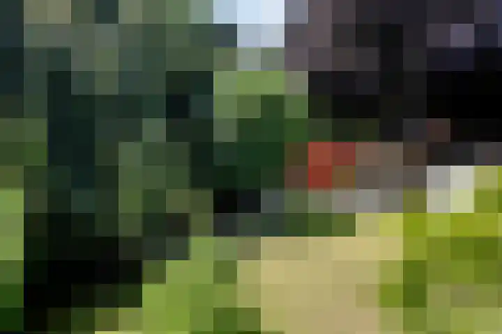 Doelenstraat 6 C Eindhoven thumbnail 47