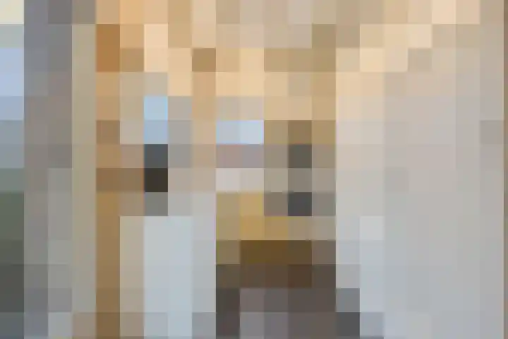 Doelenstraat 6 Goirle thumbnail 16