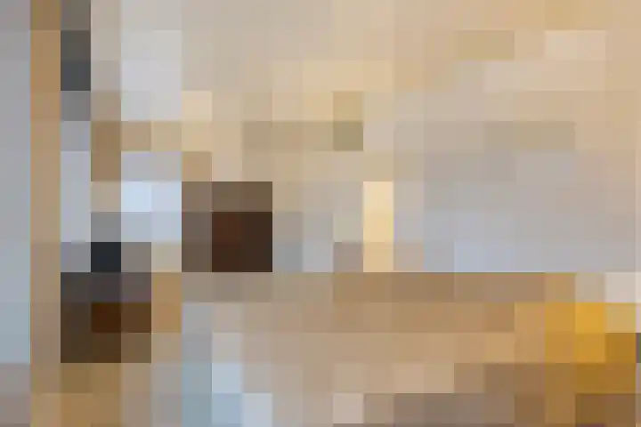 Doelenstraat 6 Goirle thumbnail 21