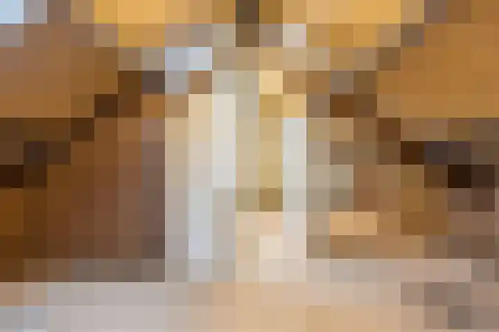 Doelenstraat 6 Goirle thumbnail 32