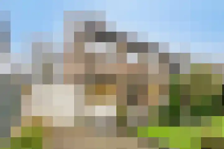 Doelenstraat 6 Goirle thumbnail 36
