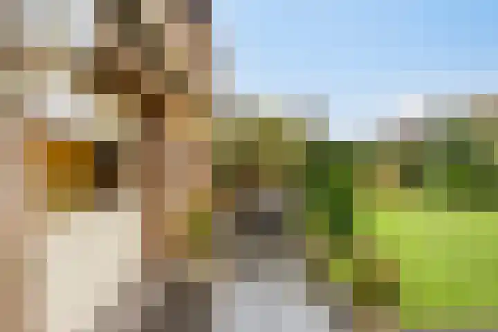 Doelenstraat 6 Goirle thumbnail 38