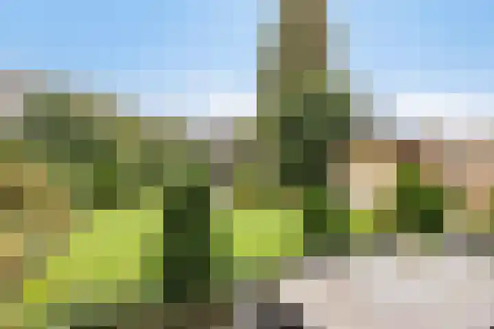 Doelenstraat 6 Goirle thumbnail 39