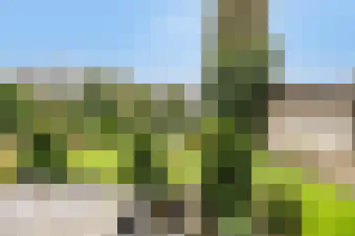 Doelenstraat 6 Goirle thumbnail 40
