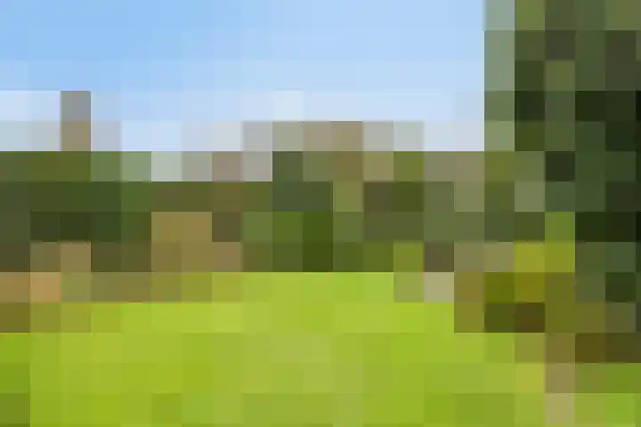 Doelenstraat 6 Goirle thumbnail 42