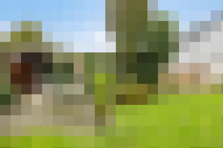 Doelenstraat 6 Goirle thumbnail 43