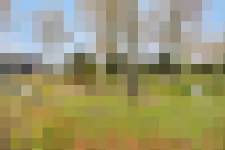 Doelenstraat 6 Goirle thumbnail 45