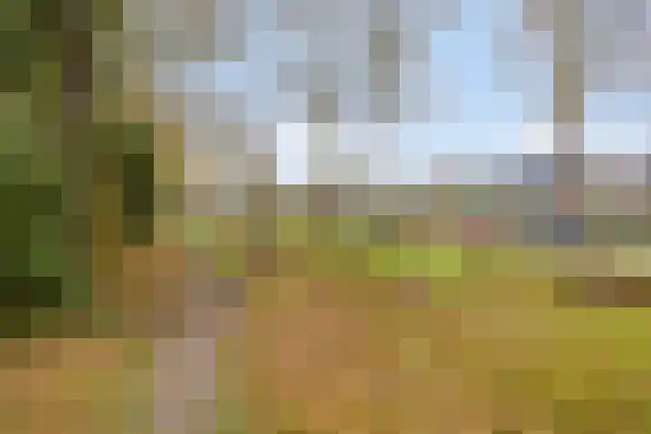 Doelenstraat 6 Goirle thumbnail 46