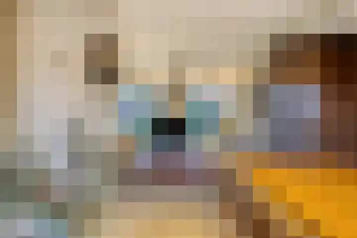 Doelenstraat 6 Goirle thumbnail 9