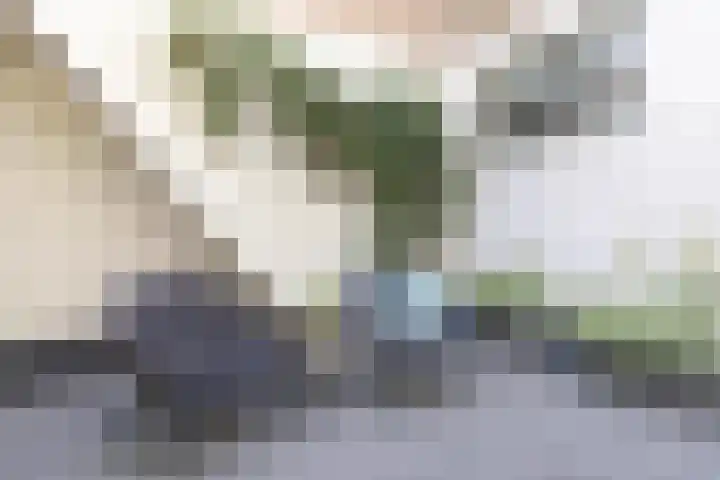 Doelenstraat 6 Gouda thumbnail 20