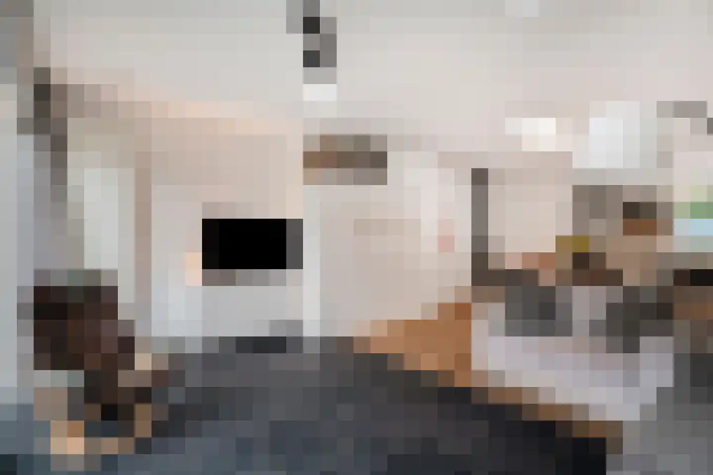 Doelenstraat 6 Harderwijk thumbnail 12