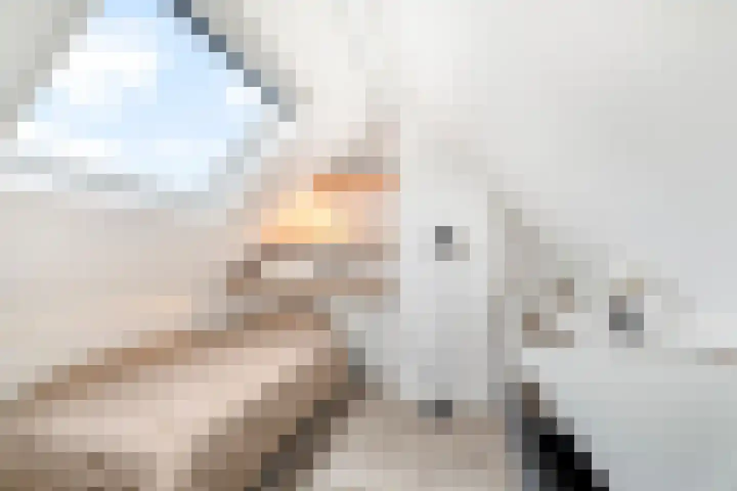 Doelenstraat 6 Harderwijk thumbnail 30