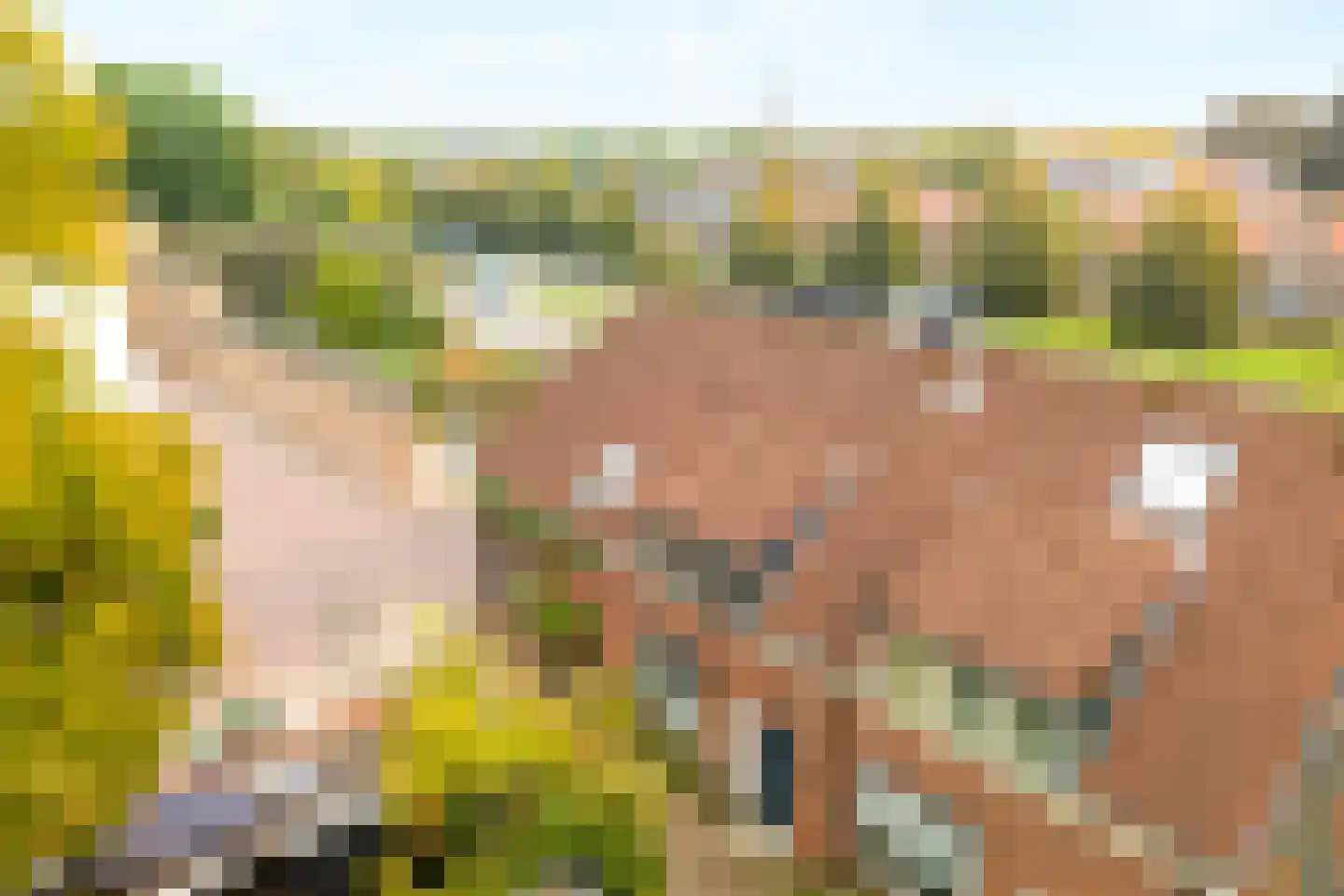 Doelenstraat 6 Harderwijk thumbnail 39