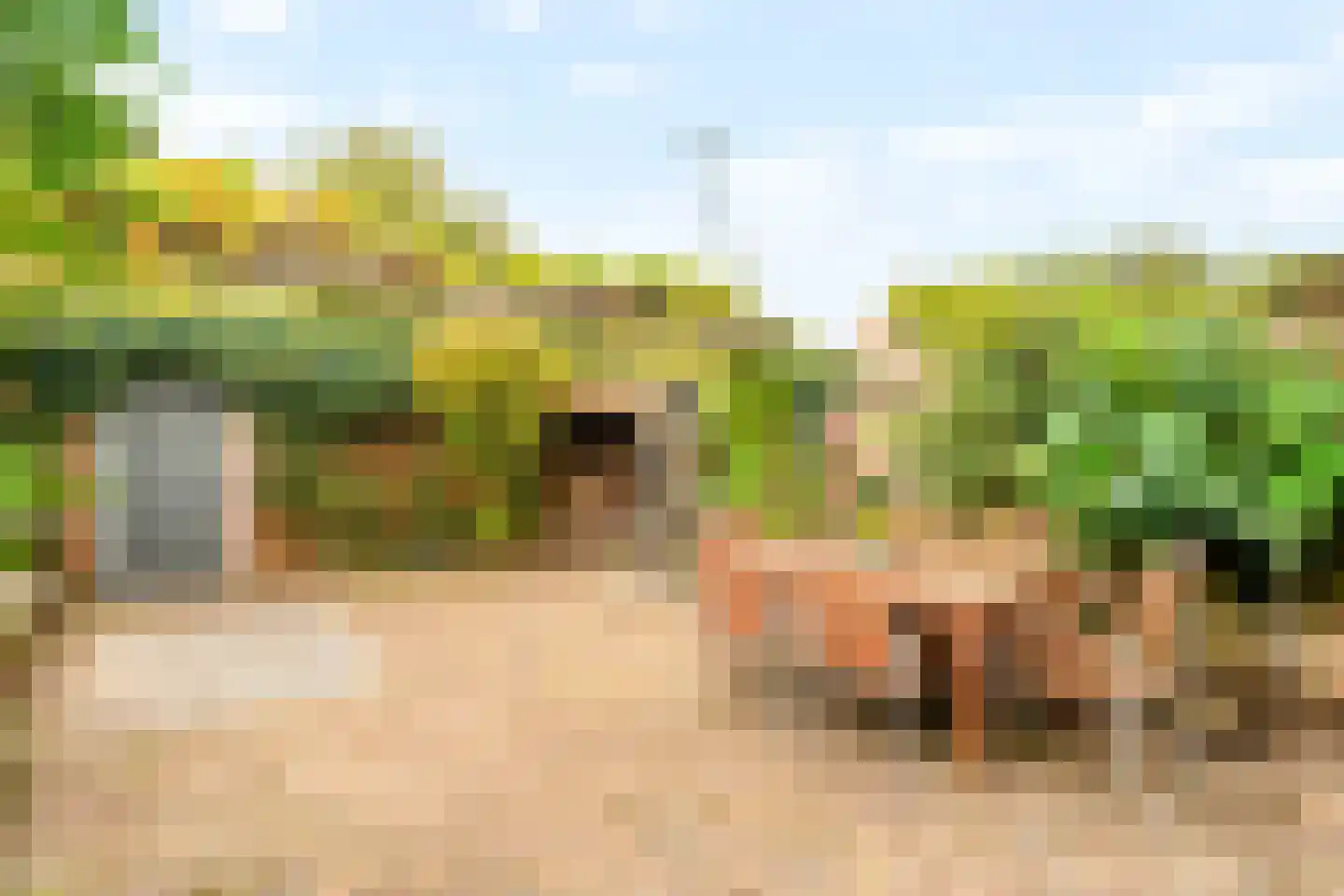 Doelenstraat 6 Harderwijk thumbnail 7