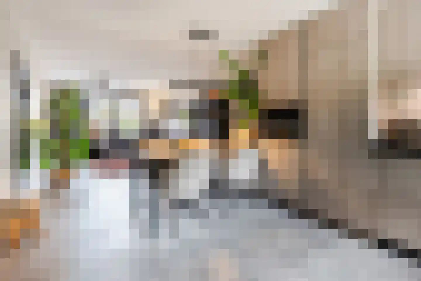 Doelenstraat 7 Harderwijk thumbnail 14