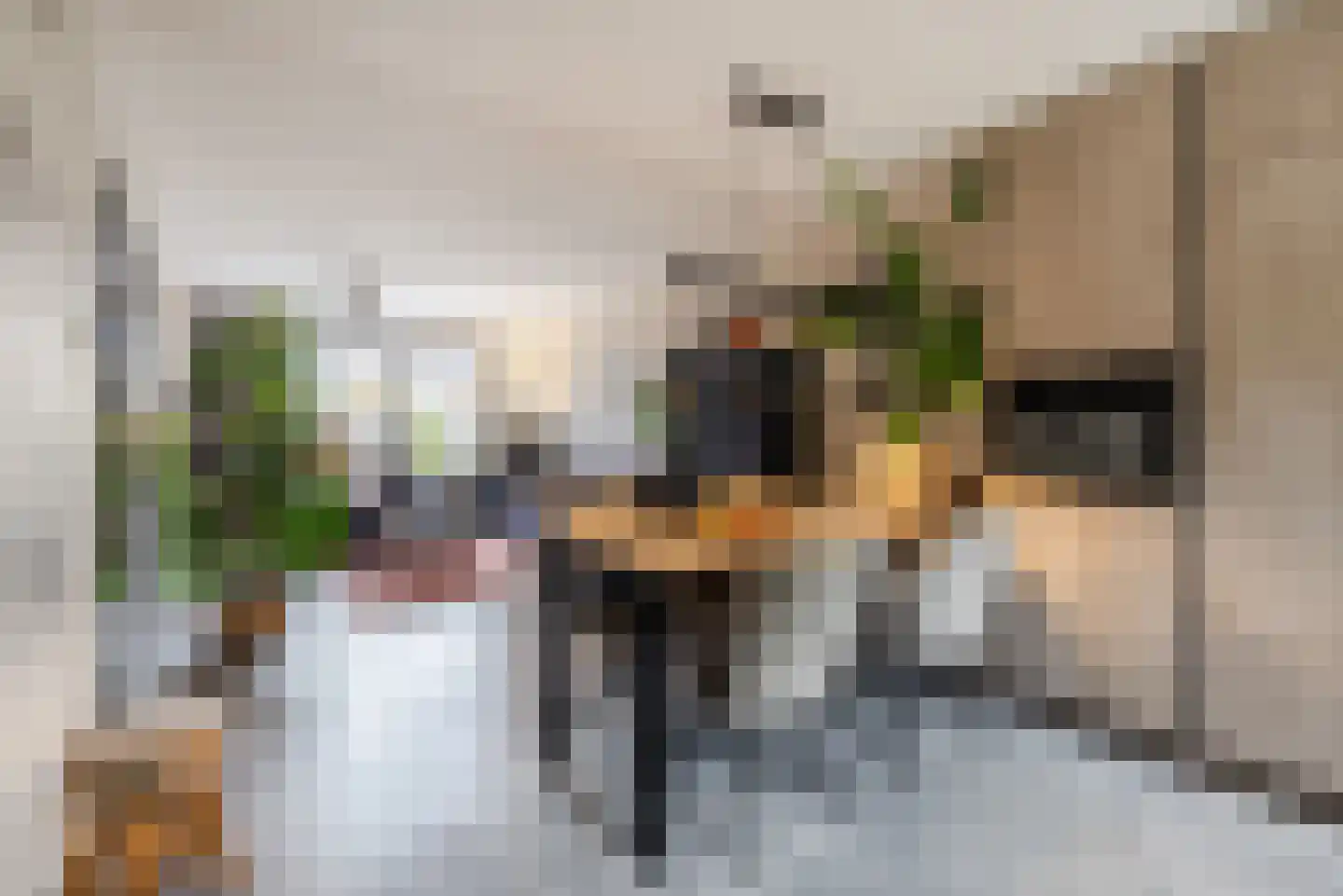 Doelenstraat 7 Harderwijk thumbnail 16