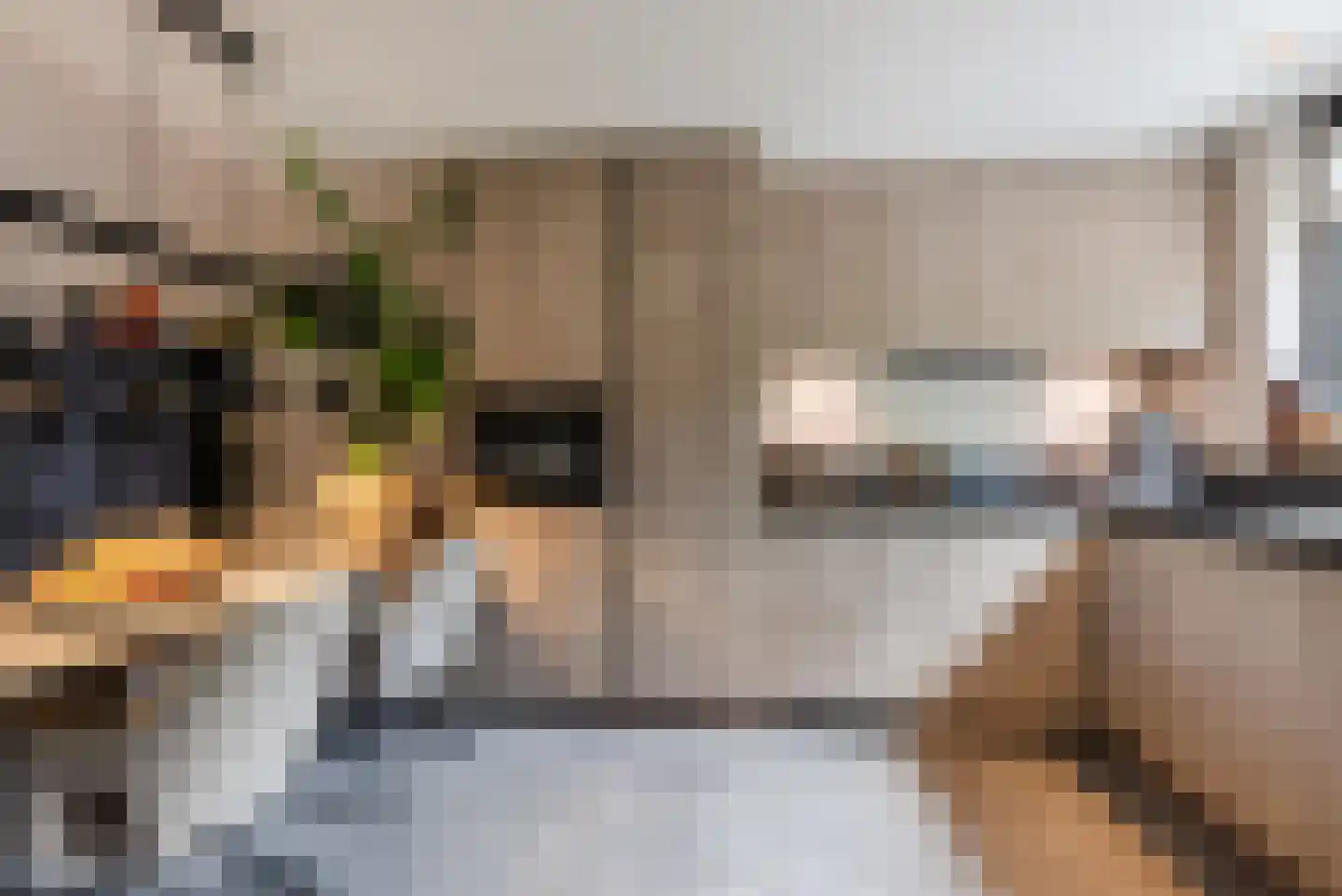 Doelenstraat 7 Harderwijk thumbnail 18