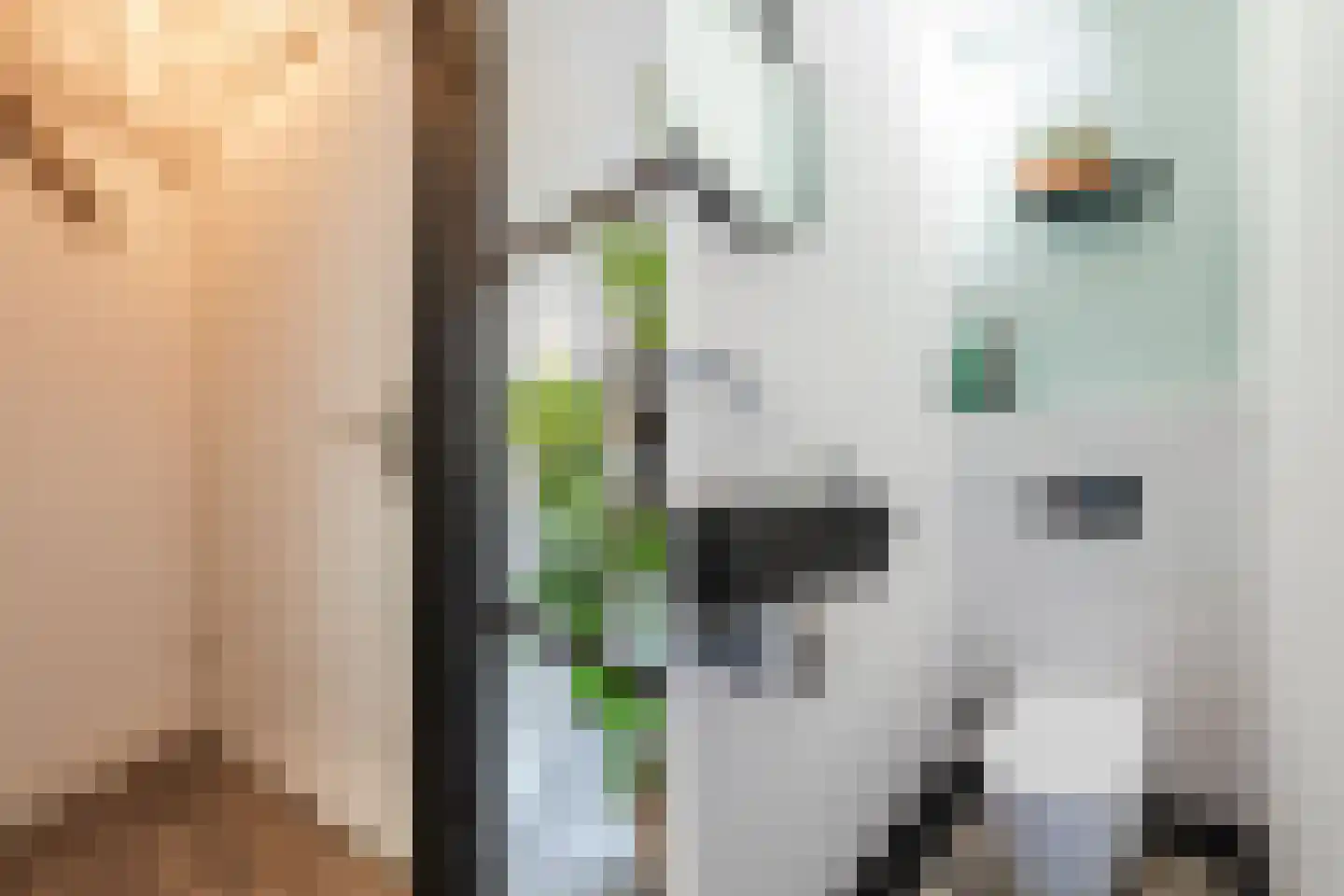 Doelenstraat 7 Harderwijk thumbnail 21