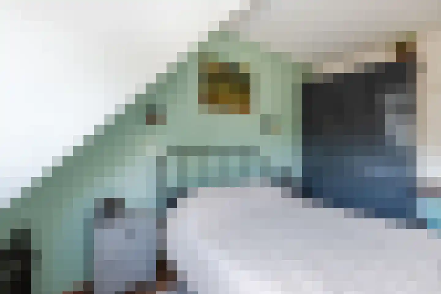 Doelenstraat 7 Harderwijk thumbnail 26