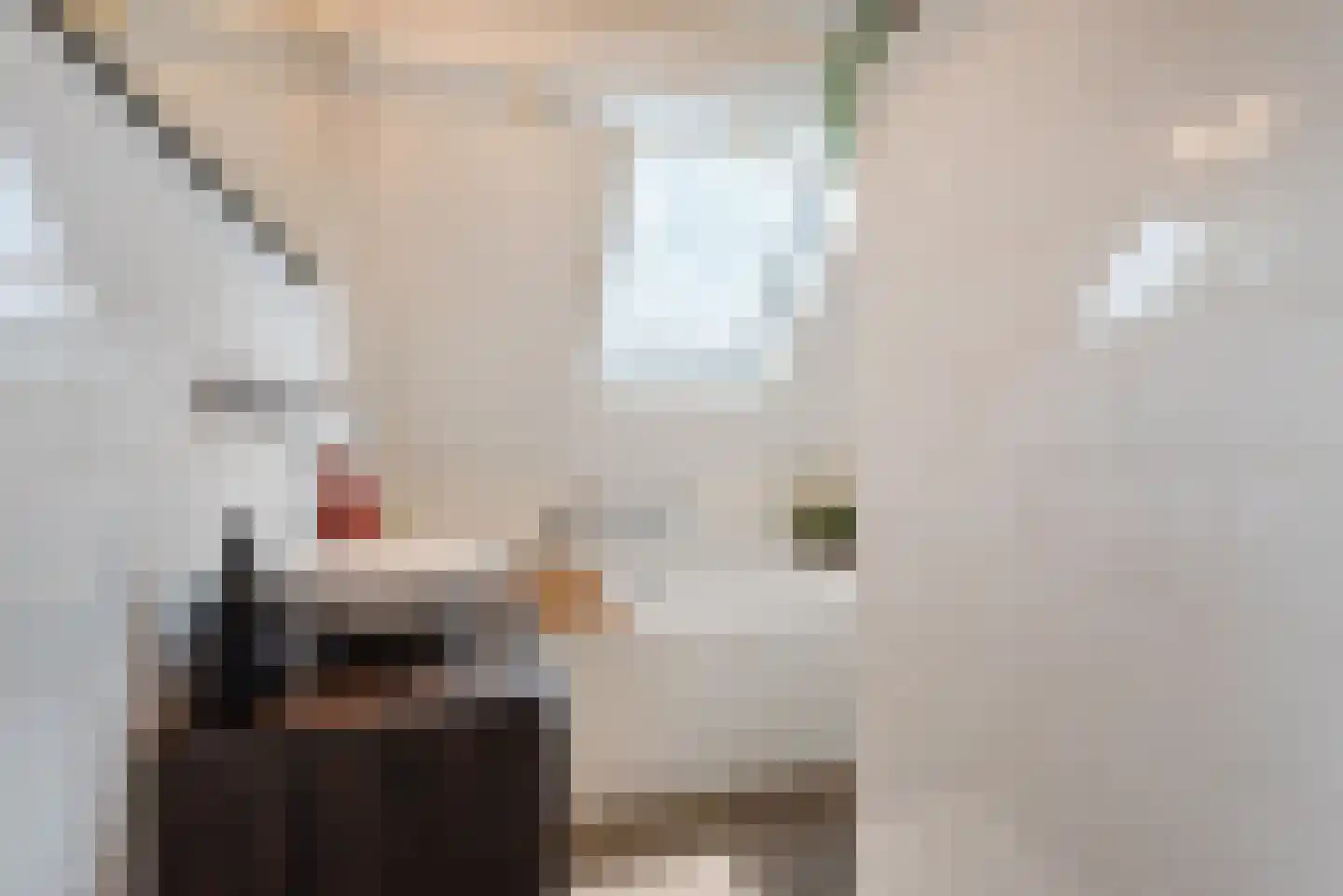 Doelenstraat 7 Harderwijk thumbnail 28