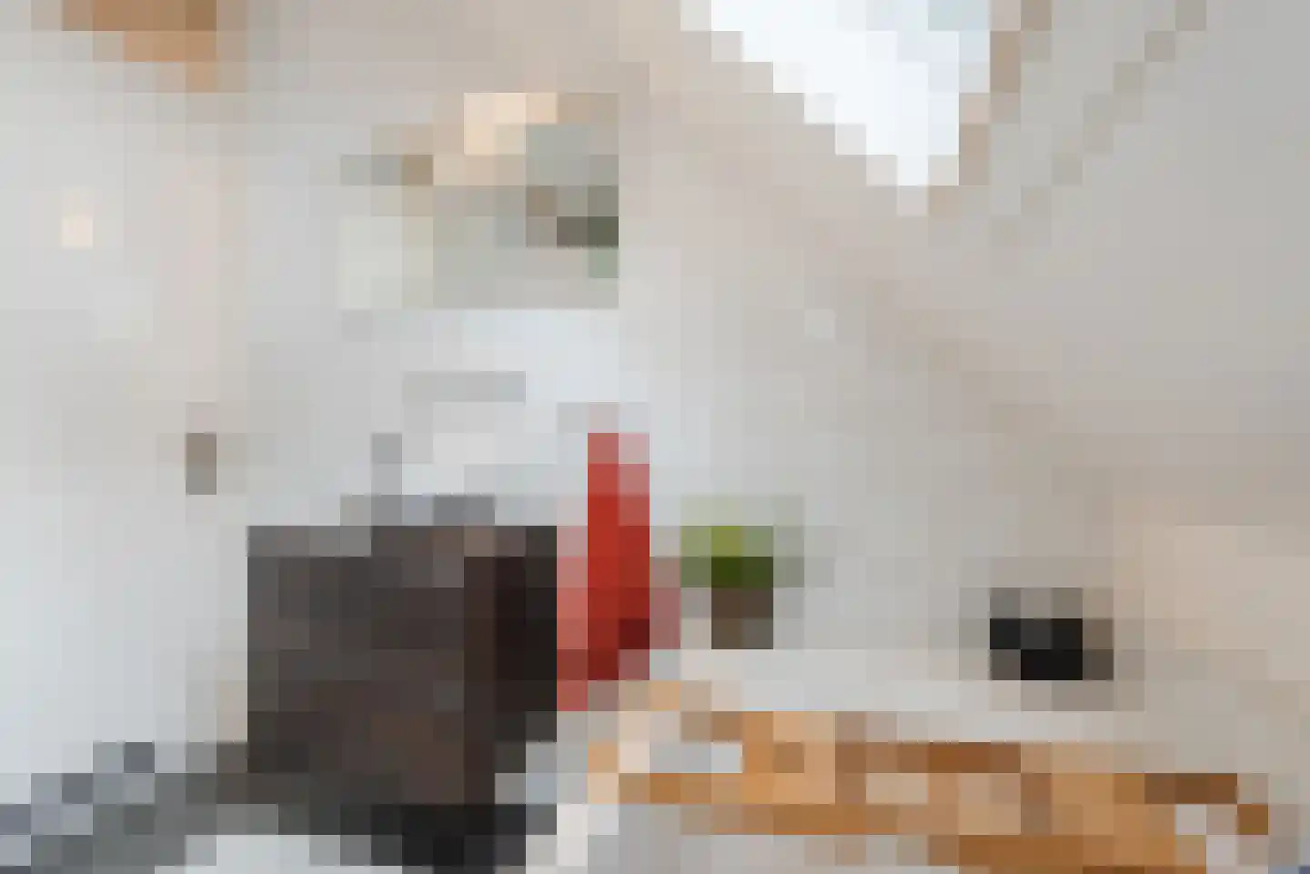 Doelenstraat 7 Harderwijk thumbnail 29
