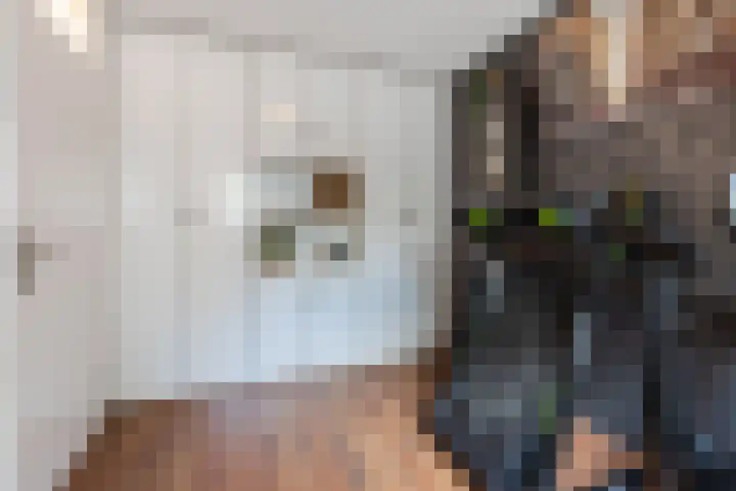 Doelenstraat 7 Harderwijk thumbnail 33