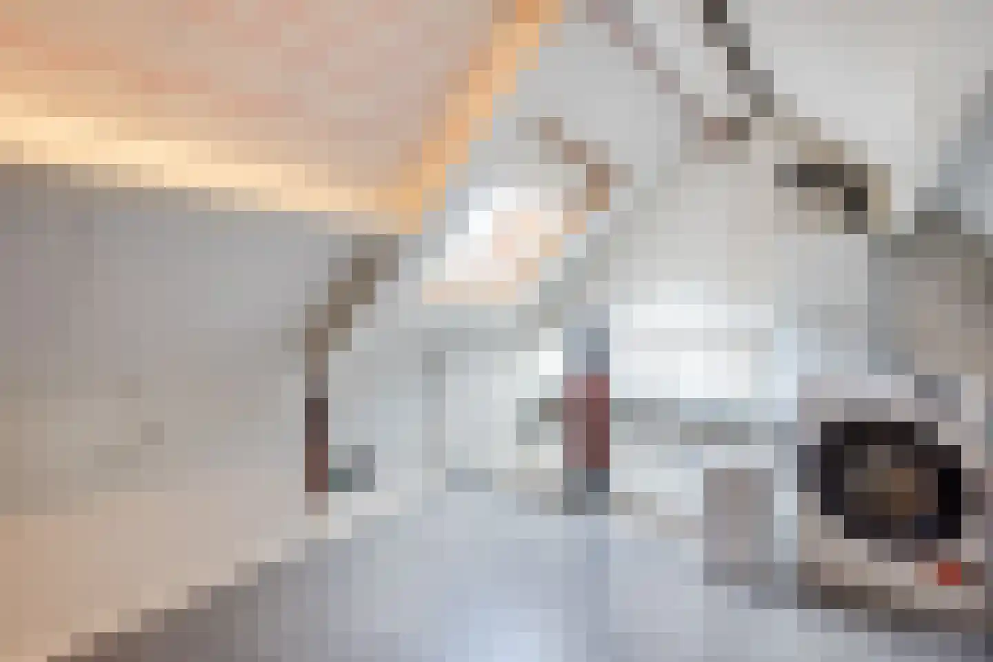 Doelenstraat 7 Harderwijk thumbnail 35