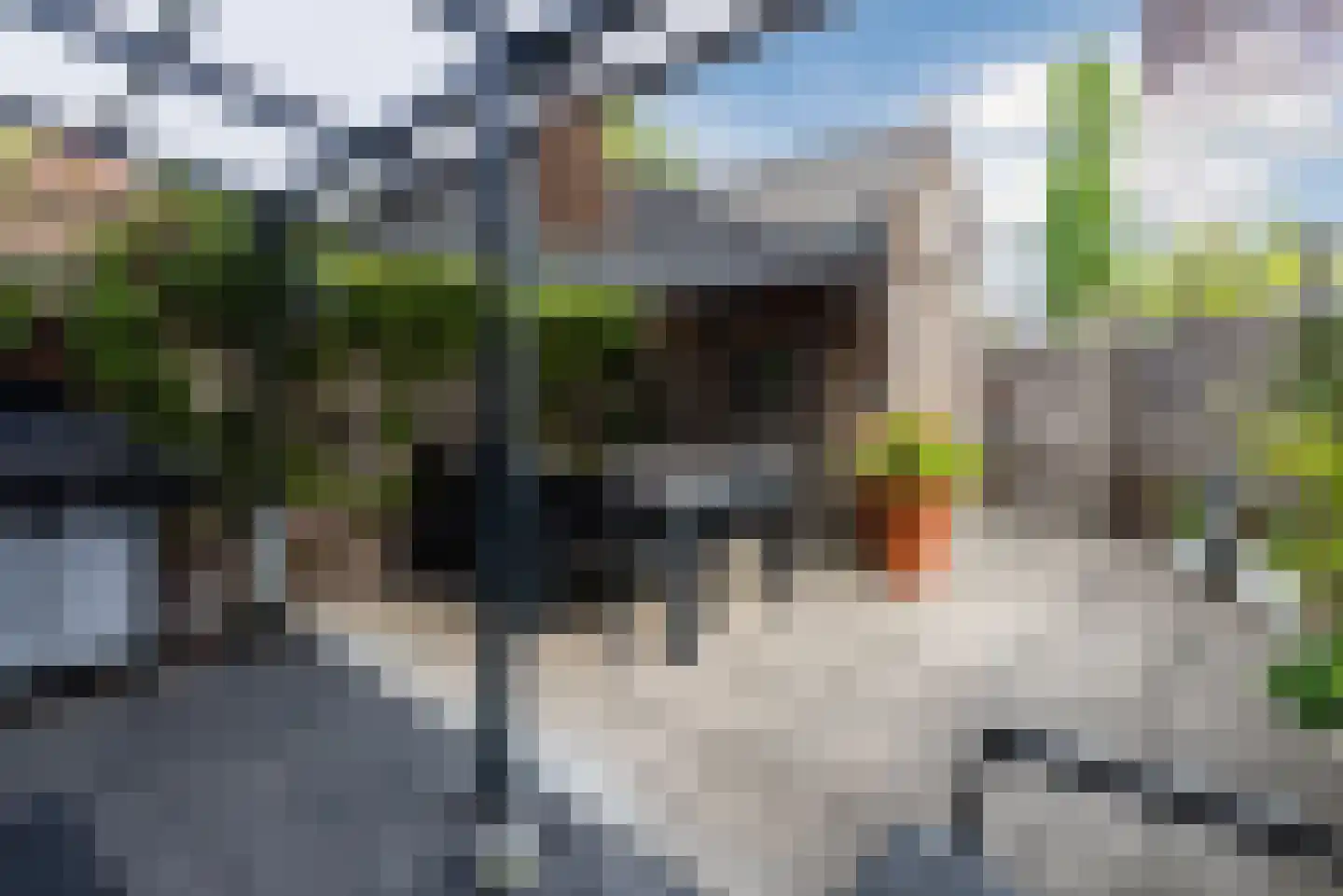 Doelenstraat 7 Harderwijk thumbnail 40