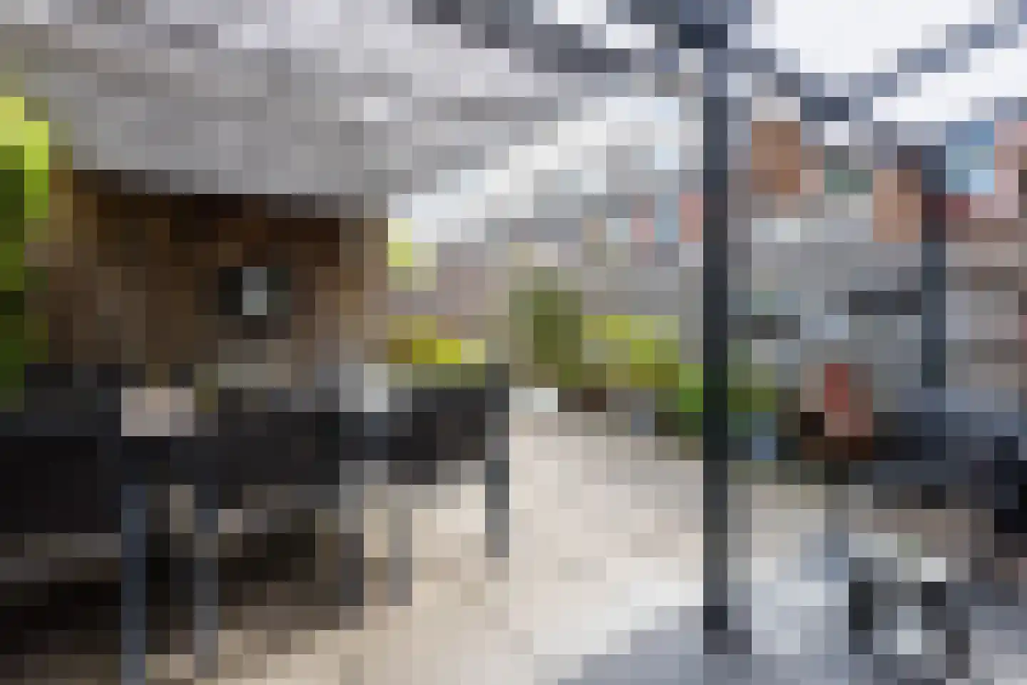 Doelenstraat 7 Harderwijk thumbnail 41